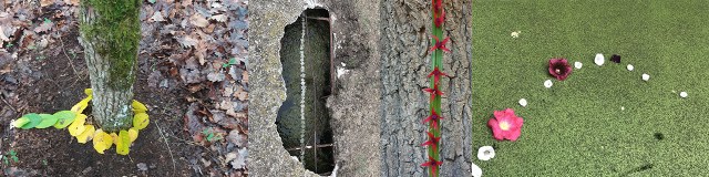 Compo_Landart_1280x320_version_Flowers